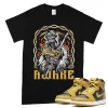 TeeVivo T-Shirt Match Air Jordan 1 Retro High Pollen Awake – Air Jordan 1 Shirt, AJ1 Shirt