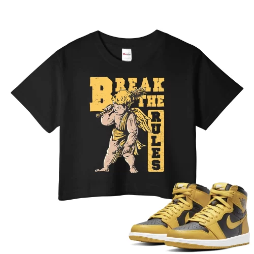 TeeVivo Crop Top Match Air Jordan 1 Retro High Pollen Break the rules – Air Jordan 1 Crop Top, AJ1 Crop Top