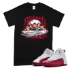 TeeVivo T-Shirt Match Air Jordan 12 Retro Cherry Blessed – Air Jordan 12 Shirt, AJ12 Shirt