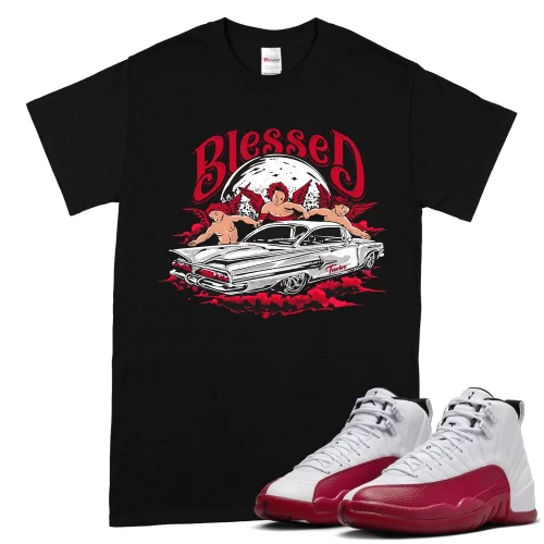 TeeVivo T-Shirt Match Air Jordan 12 Retro Cherry Blessed – Air Jordan 12 Shirt, AJ12 Shirt