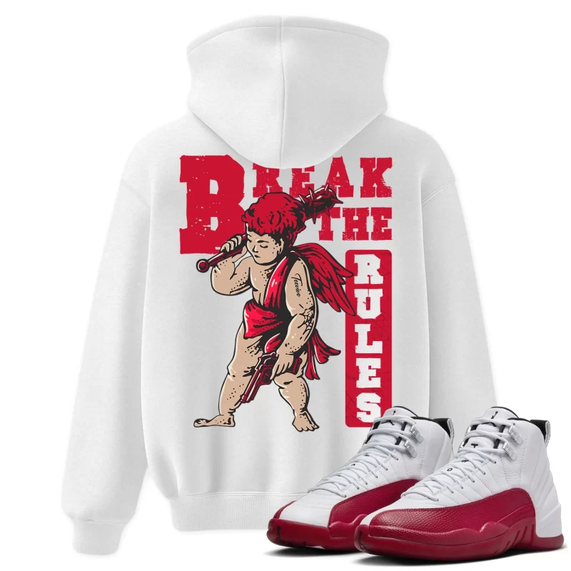 TeeVivo Hoodie Match Air Jordan 12 Retro Cherry Break the rules – Air Jordan 12 Hoodie, AJ12 Hoodie