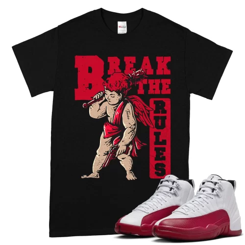 TeeVivo T-Shirt Match Air Jordan 12 Retro Cherry Break the rules – Air Jordan 12 Shirt, AJ12 Shirt