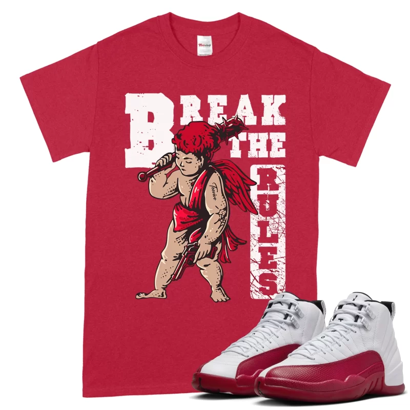 TeeVivo T-Shirt Match Air Jordan 12 Retro Cherry Break the rules – Air Jordan 12 Shirt, AJ12 Shirt
