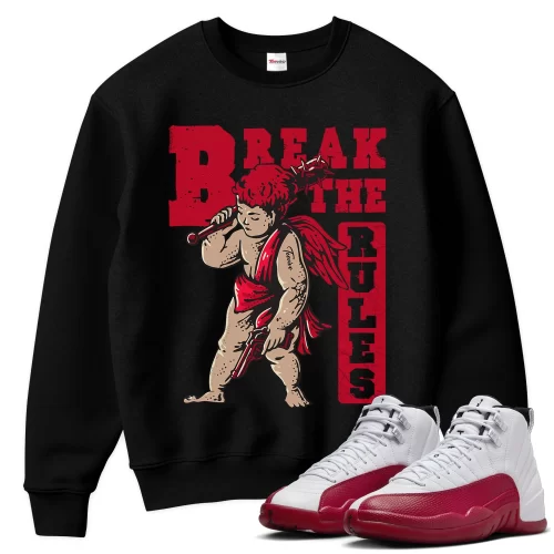 TeeVivo Sweatshirt Match Air Jordan 12 Retro Cherry Break the rules – Air Jordan 12 Sweatshirt, AJ12 Sweatshirt