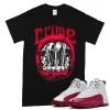 TeeVivo T-Shirt Match Air Jordan 12 Retro Cherry Crime – Air Jordan 12 Shirt, AJ12 Shirt