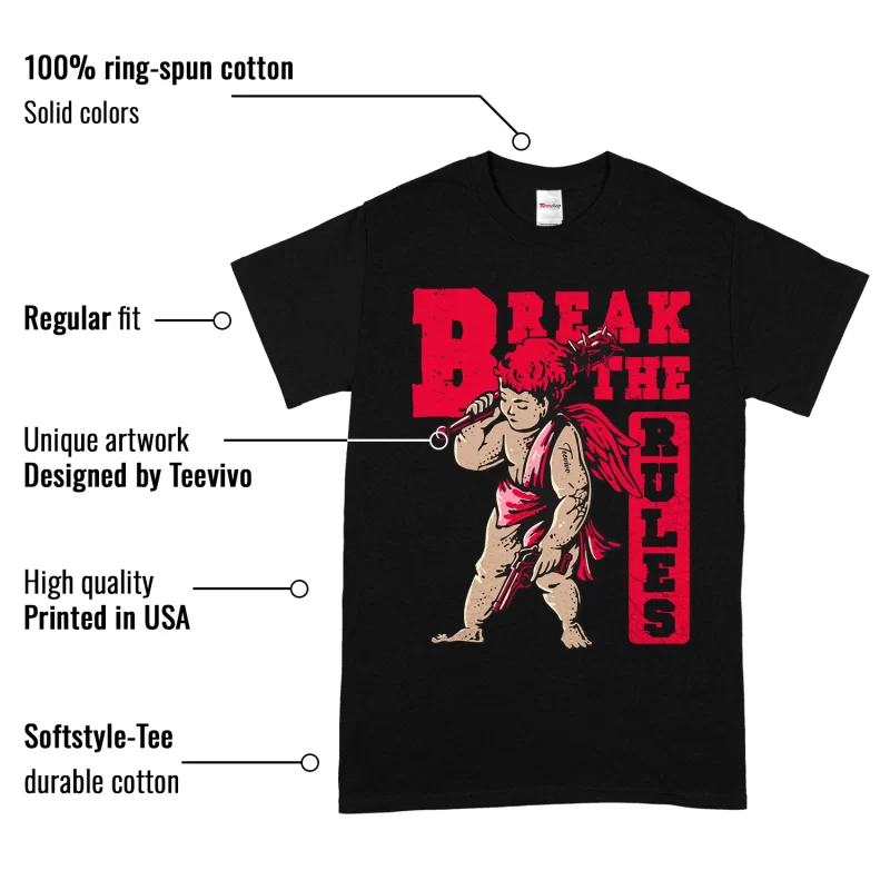 TeeVivo T-Shirt Match Air Jordan 13 Retro Wolf Grey Break the rules – Air Jordan 13 Shirt, AJ13 Shirt