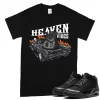 TeeVivo T-Shirt Match Air Jordan 3 Retro Black Cat Heaven vibes – Air Jordan 3 Shirt, AJ3 Shirt