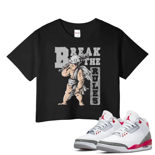 TeeVivo Crop Top Match Air Jordan 3 Retro Fire Red Break the rules – Air Jordan 3 Crop Top, AJ3 Crop Top
