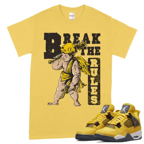 TeeVivo T-Shirt Match Air Jordan 4 Retro Lightning Break the rules – Air Jordan 4 Shirt, AJ4 Shirt