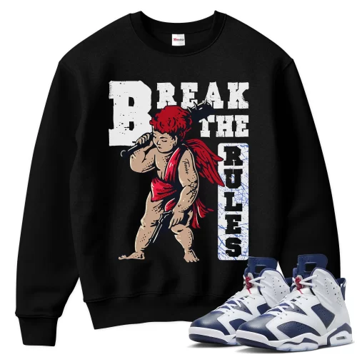 TeeVivo Sweatshirt Match Air Jordan 6 Retro Olympic Break the rules – Air Jordan 6 Sweatshirt, AJ6 Sweatshirt