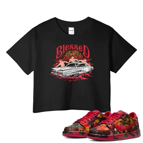 TeeVivo Nike SB Dunk Low The Wizard of Oz Poppy Field Crop Top Match Blessed Graphic FZ1291-600