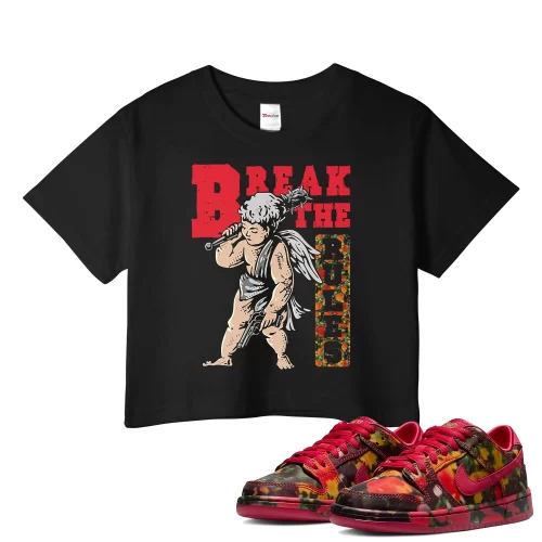 TeeVivo Nike SB Dunk Low The Wizard of Oz Poppy Field Crop Top Match Break the rules Graphic FZ1291-600