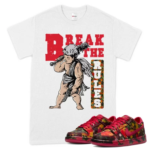 TeeVivo Nike SB Dunk Low The Wizard of Oz Poppy Field T-Shirt Match Break the rules Graphic FZ1291-600