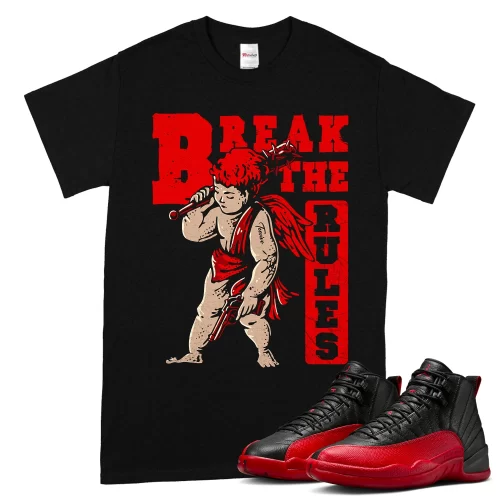 TeeVivo Air Jordan 12 Retro Flu Game T-Shirt Match Break the rules Graphic CT8013-002