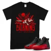 TeeVivo Air Jordan 12 Retro Flu Game T-Shirt Match Burning the ground Graphic CT8013-002