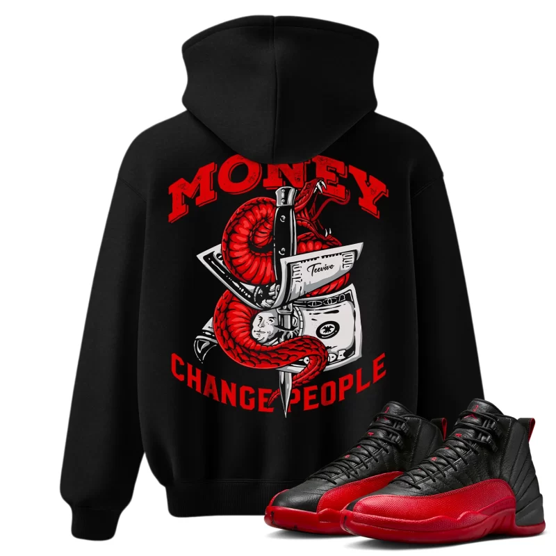 TeeVivo Air Jordan 12 Retro Flu Game Hoodie Match Money change people Graphic CT8013-002