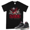 TeeVivo Jordan 2 Black Cement Shirt, Burning the ground Shirt, Black Cement 2s Shirt, Jordan 2 Outfit